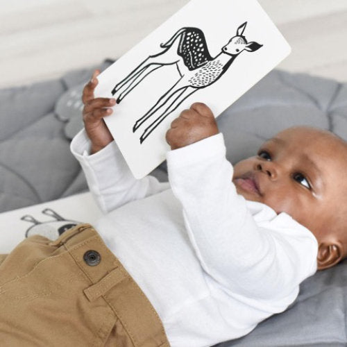Wee-Gallery-Art-Cards-Baby-Animals-Lifestyle-baby-boy